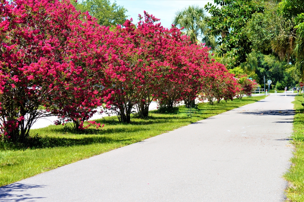 Fred Marquis Pinellas Trail, Florida